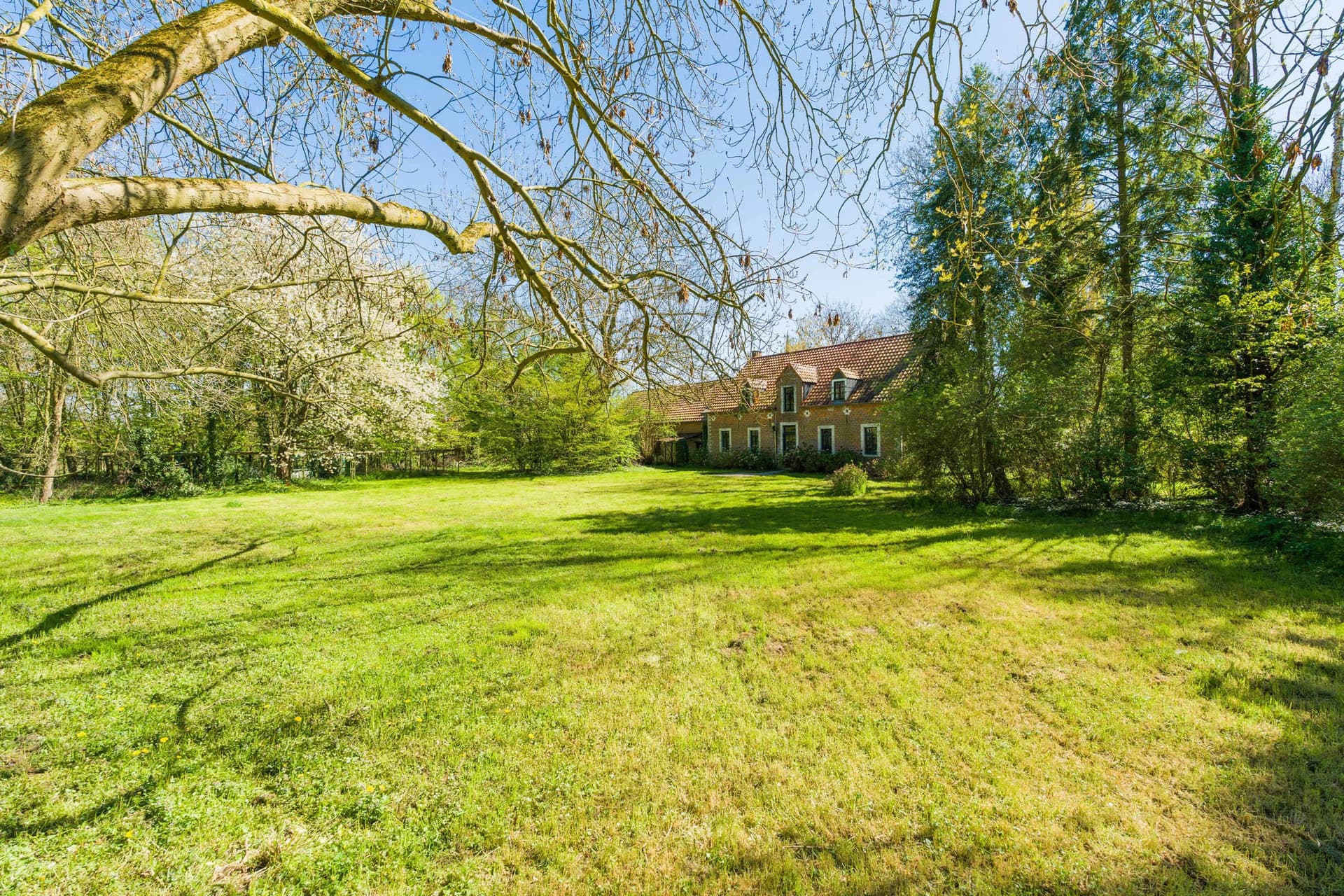 Maison 5 chambres - 1320 Beauvechain - 7781286 — 3