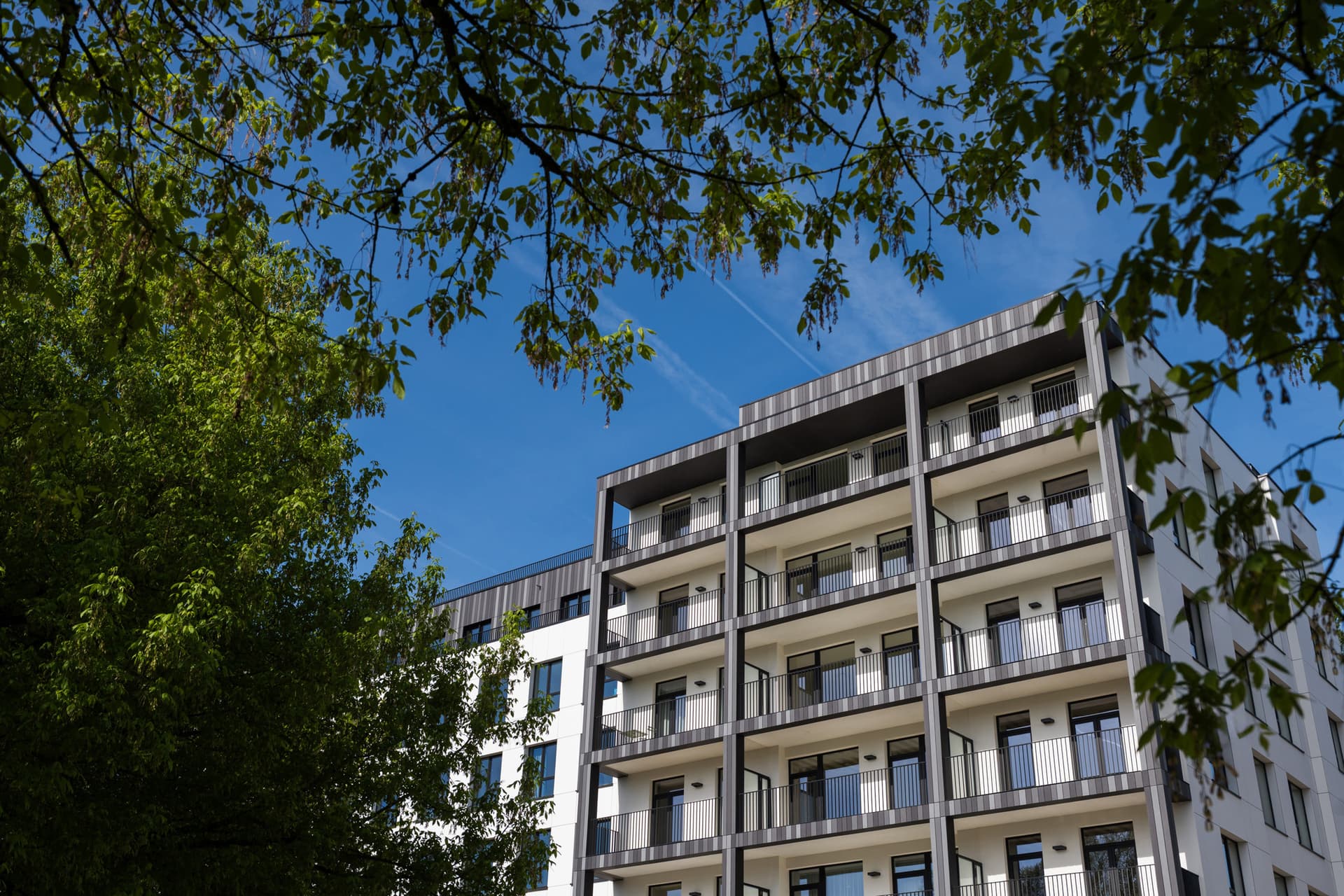 Appartement 2 chambres - 1200 Woluwe-Saint-Lambert - 7791925