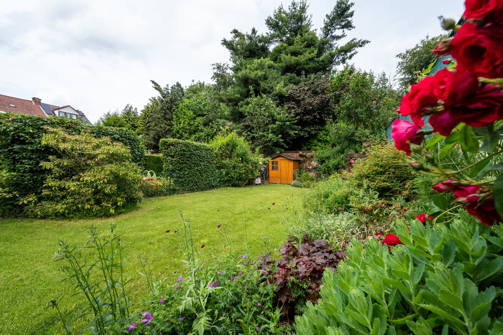 Maison 6 chambres - 1150 Woluwe-Saint-Pierre - 7797032