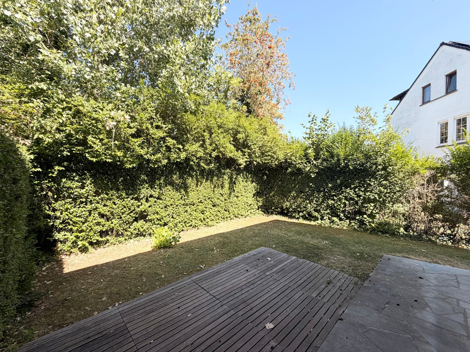 Maison 3 chambres - 1150 Woluwe-Saint-Pierre - 7797891 — 3